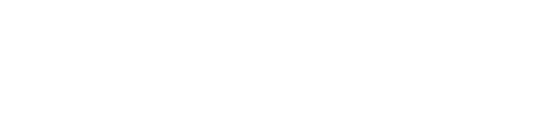 Pleiades Systems Logo